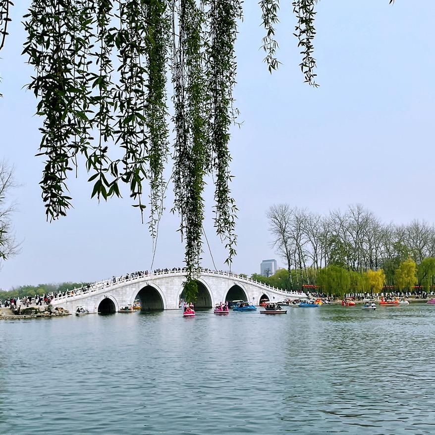 xiaohaigege