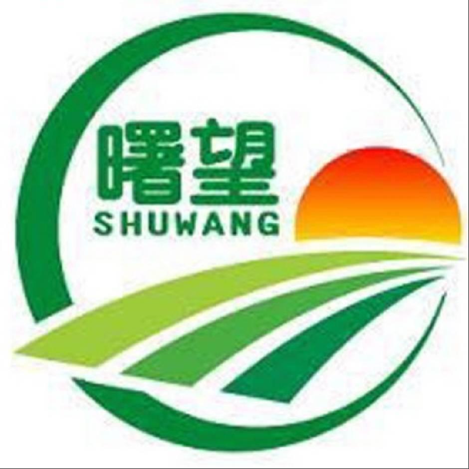 曙望传媒