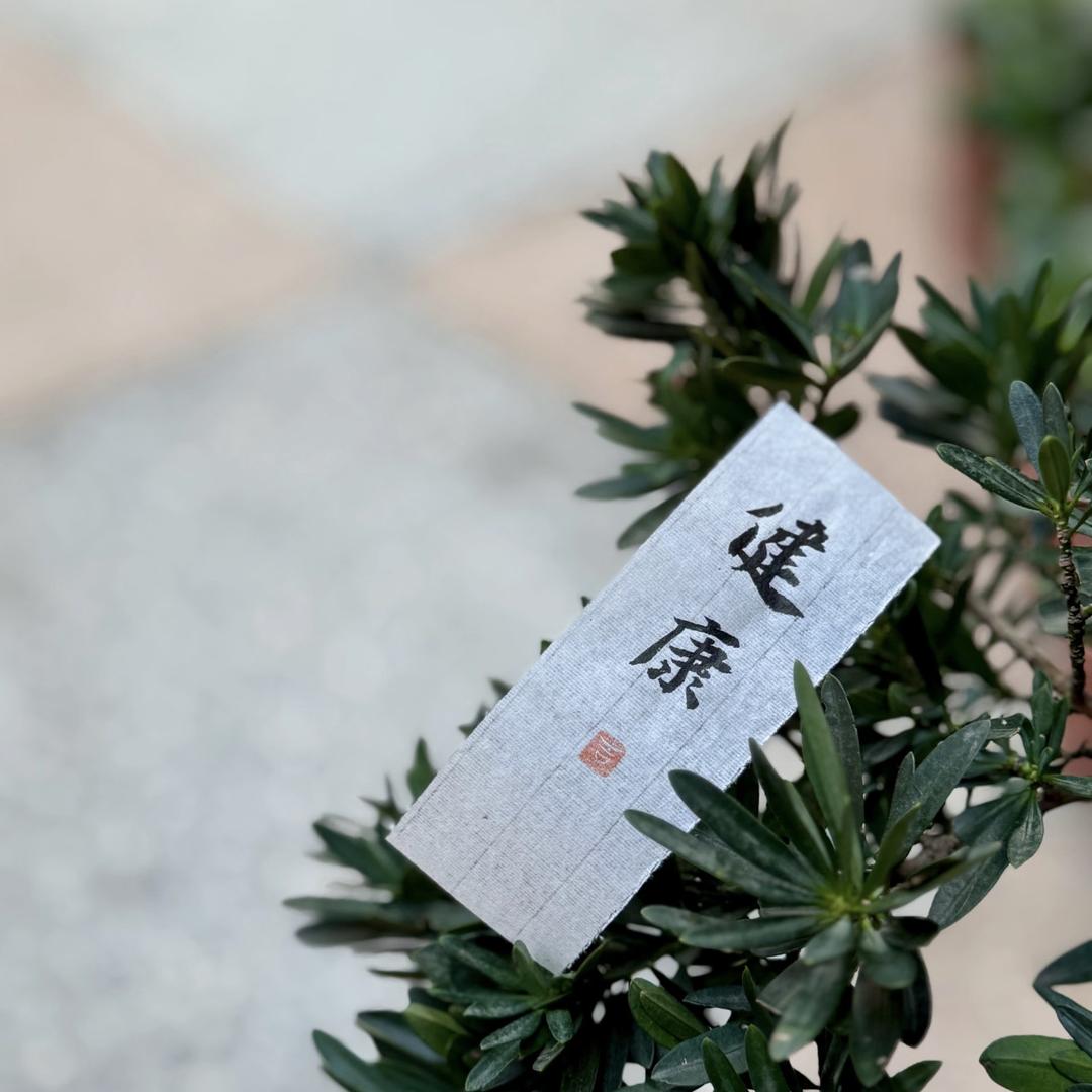 孙主任聊营养鑫荣