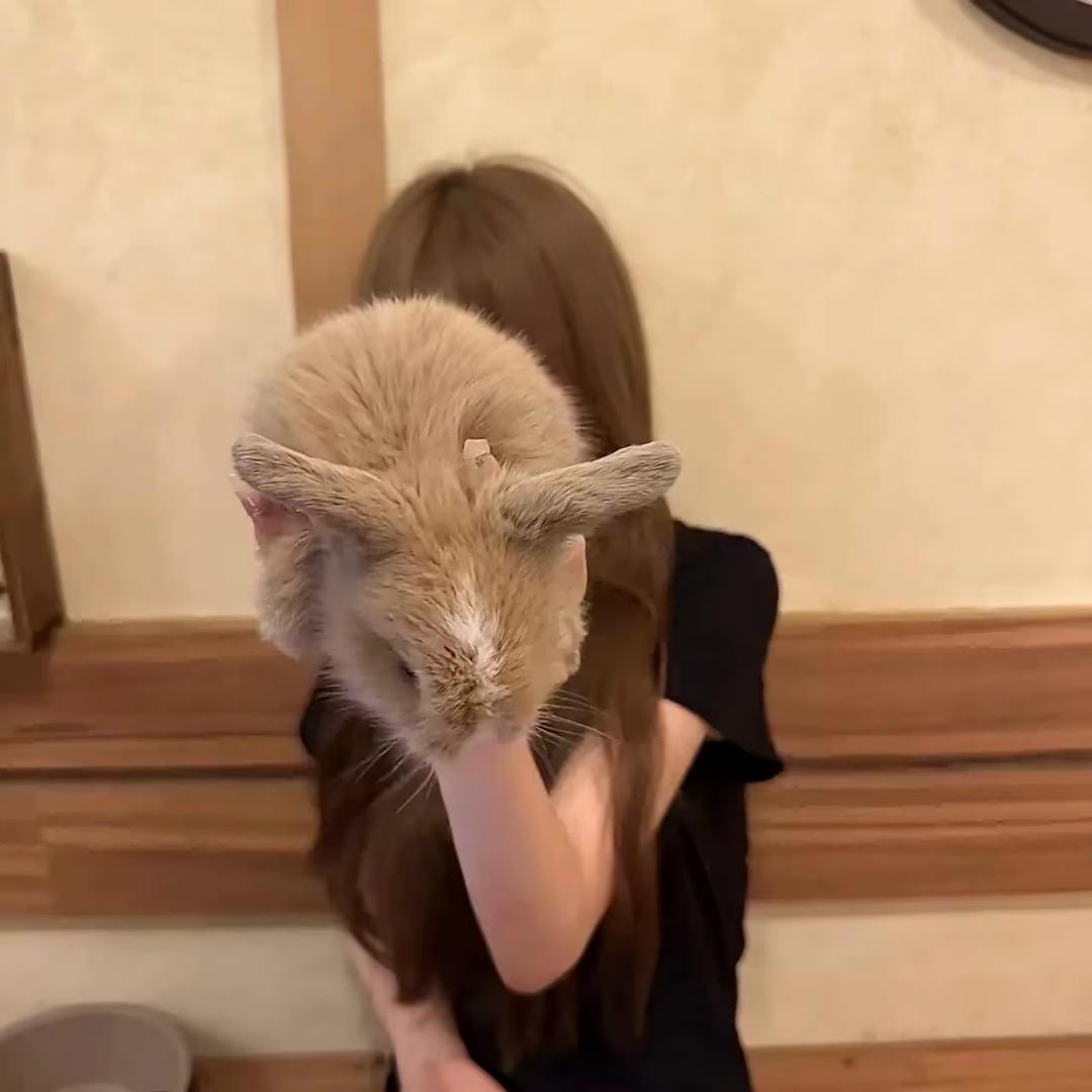 ʚɞ.