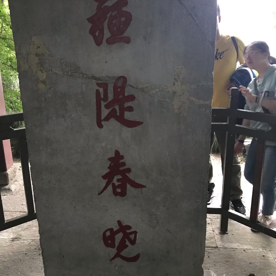 TLC一66