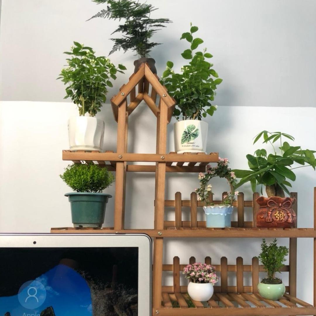 沂河云舍花卉臻选阁