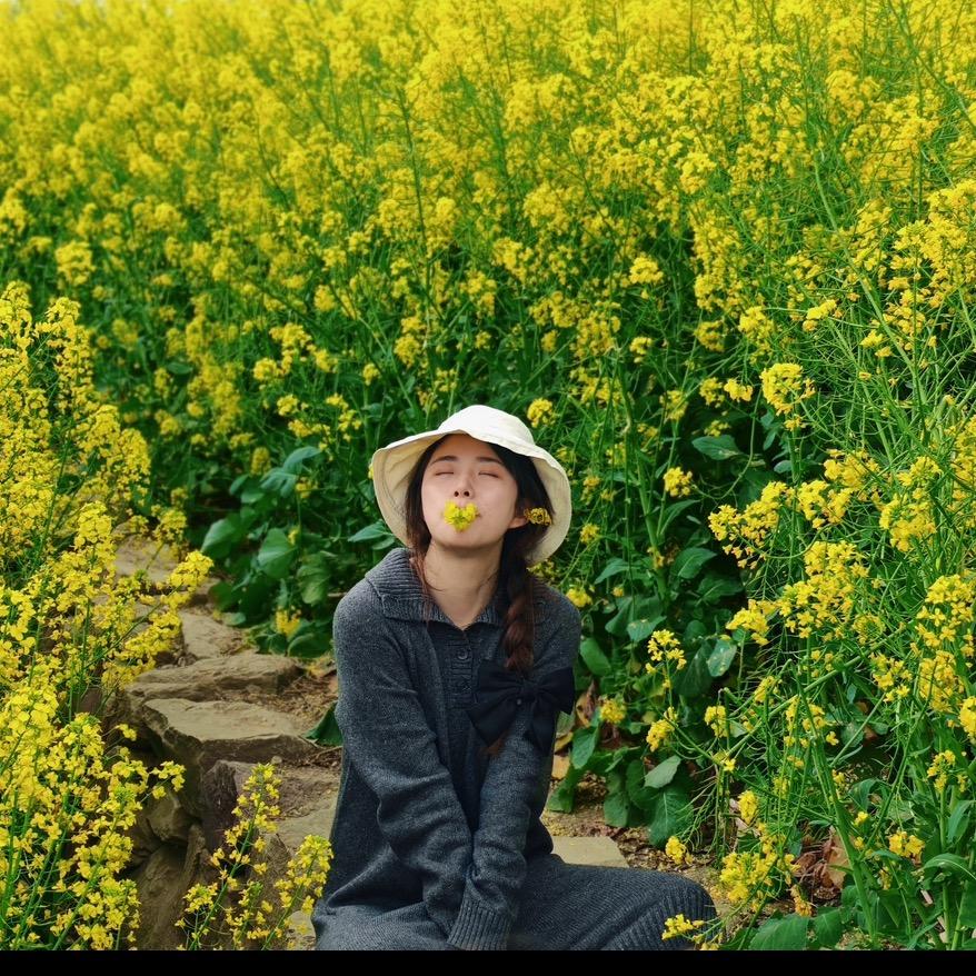 狄MM