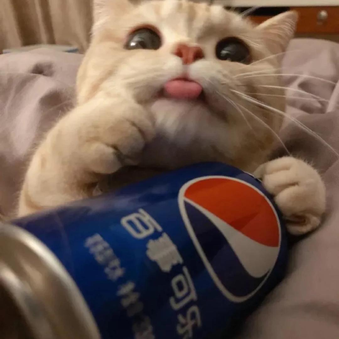 不想起床Zzz