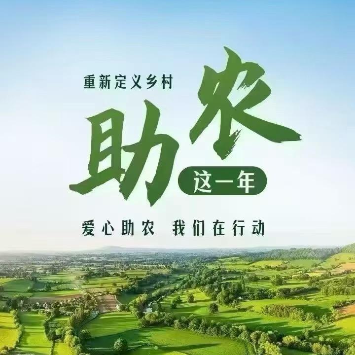 金丰助农