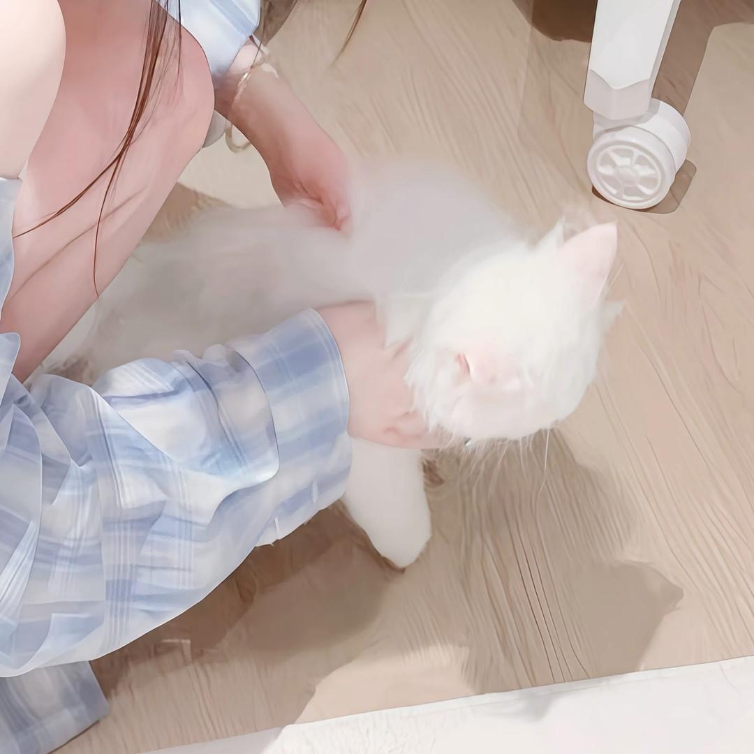 我知小娜难遇