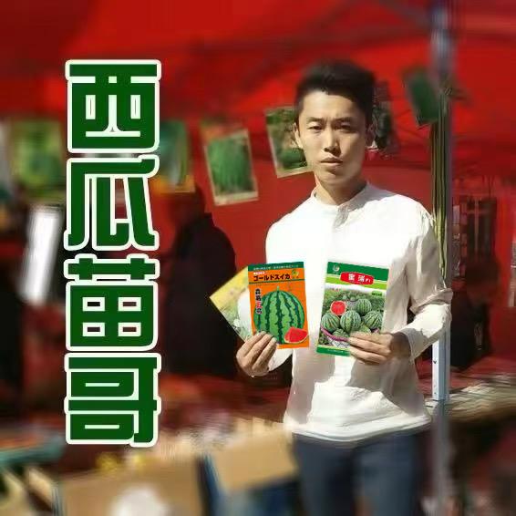 西瓜苗哥²