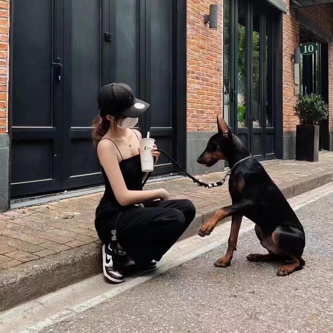 🧅洋葱