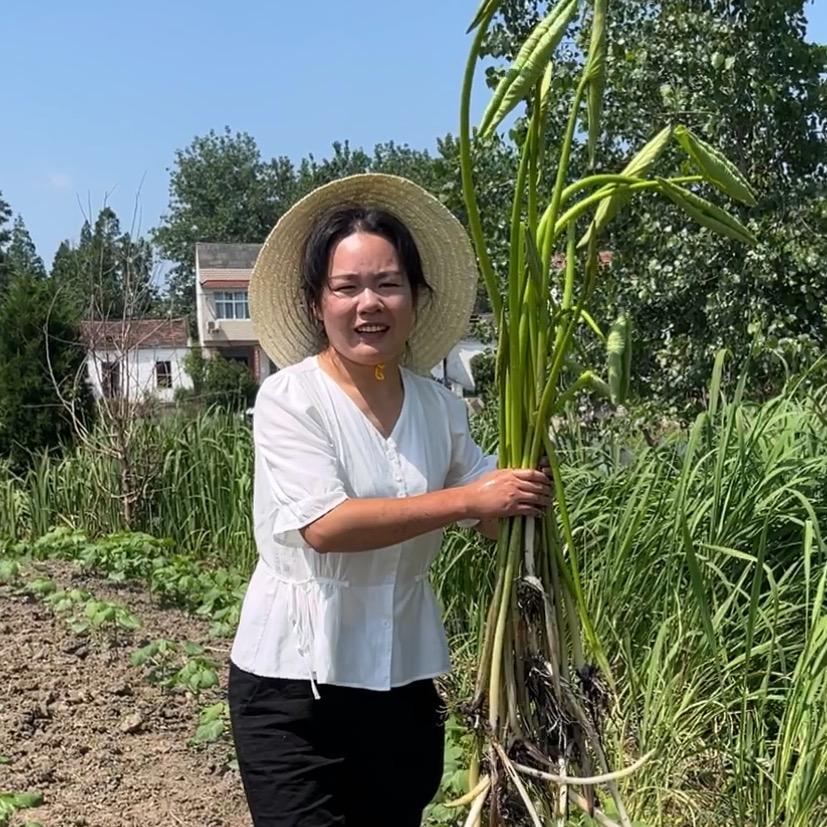 仙桃小红姐