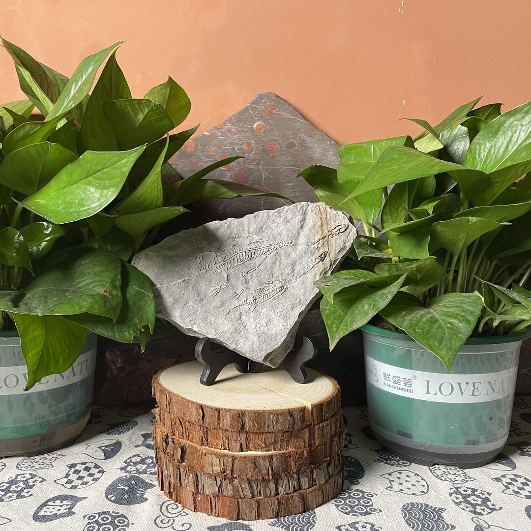 贵州奇石艺术馆