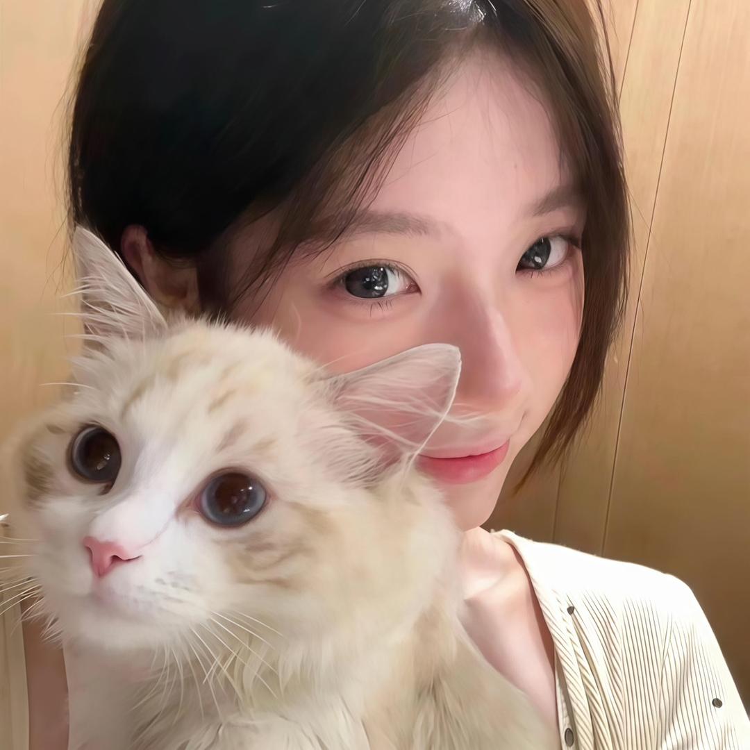 锅盖姐姐