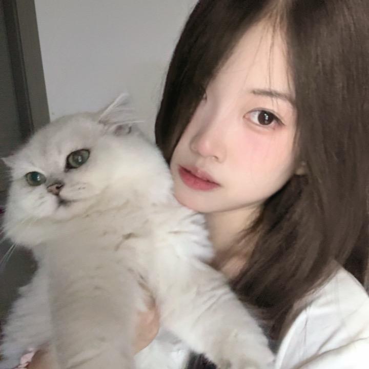 小猫乖乖