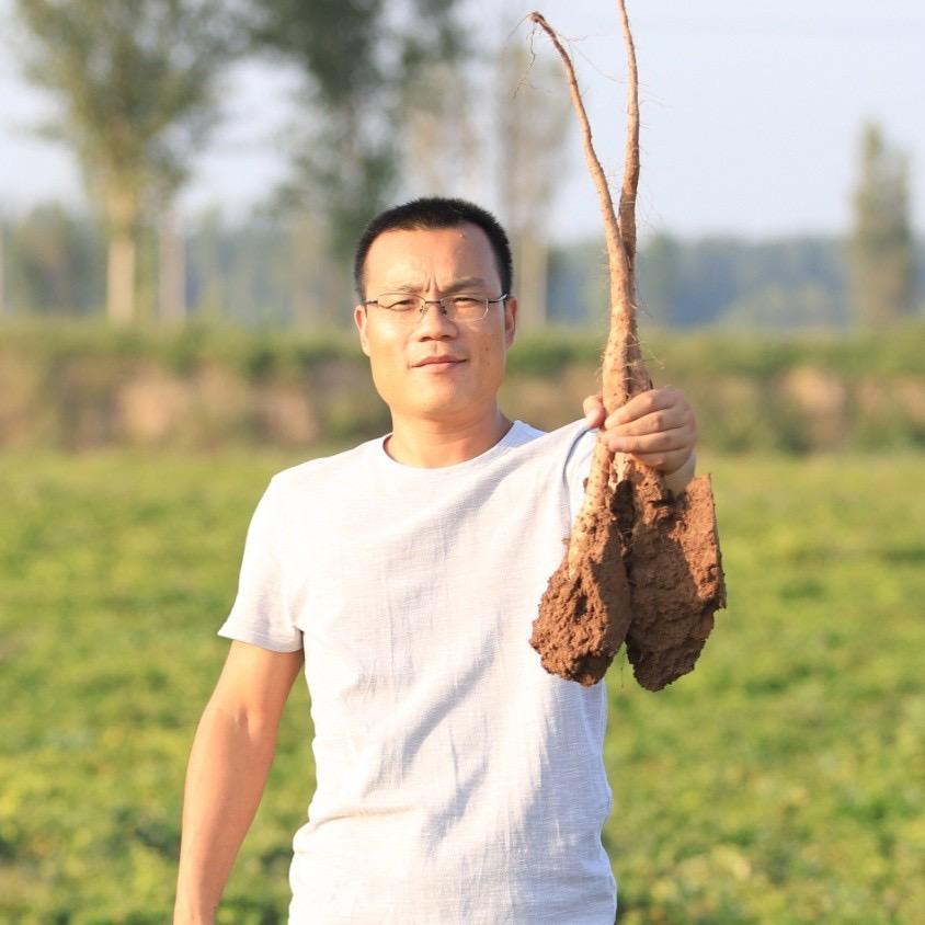 邻夫铁棍怀山药