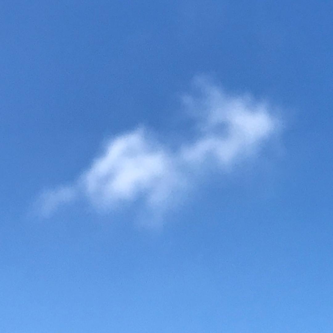 范生