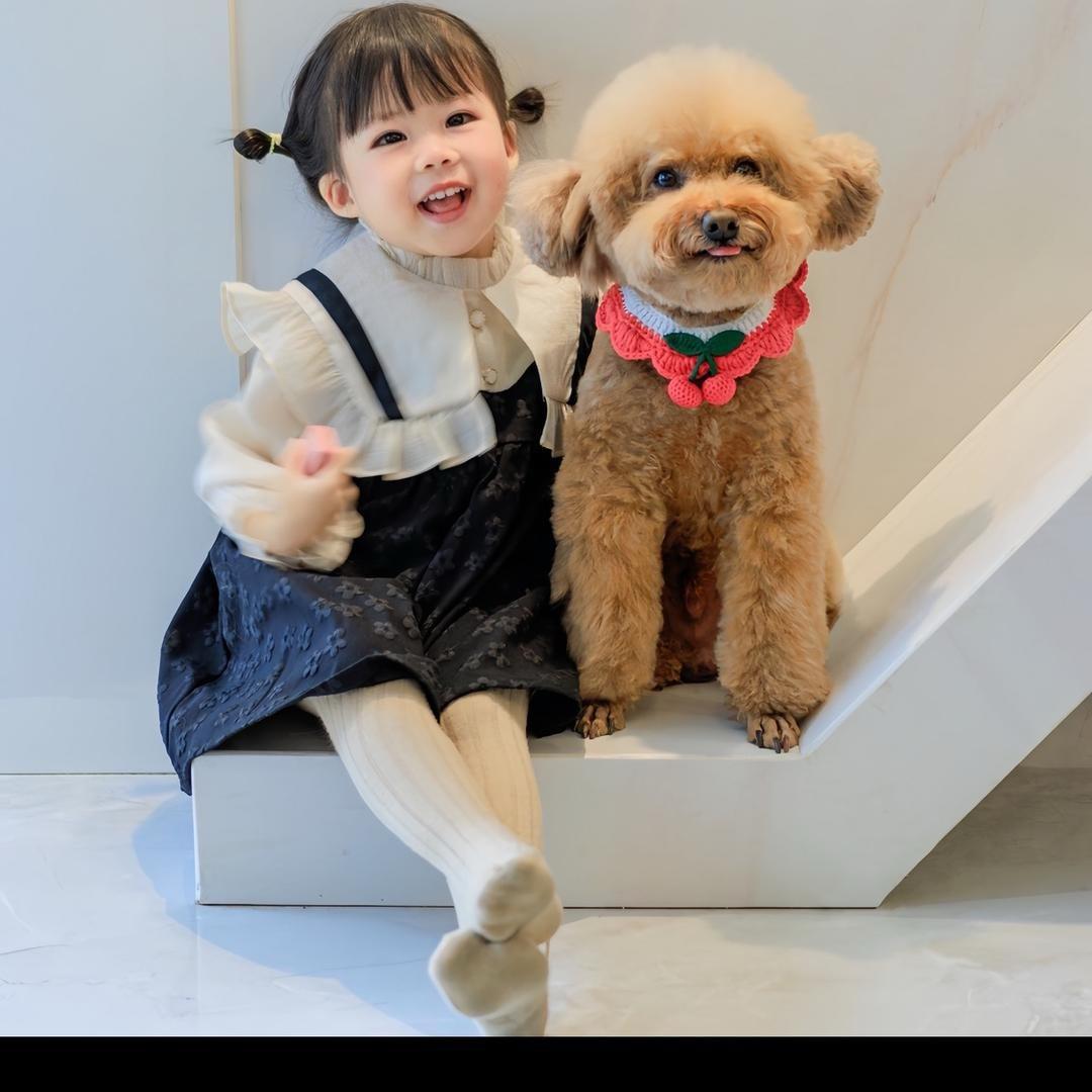 来交个朋友