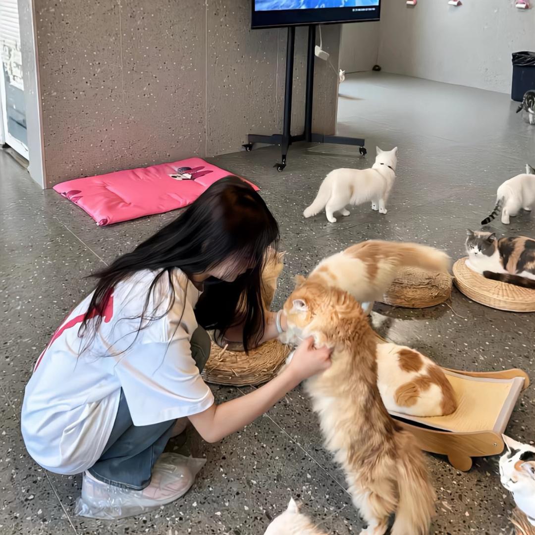 没有我你会开心吗