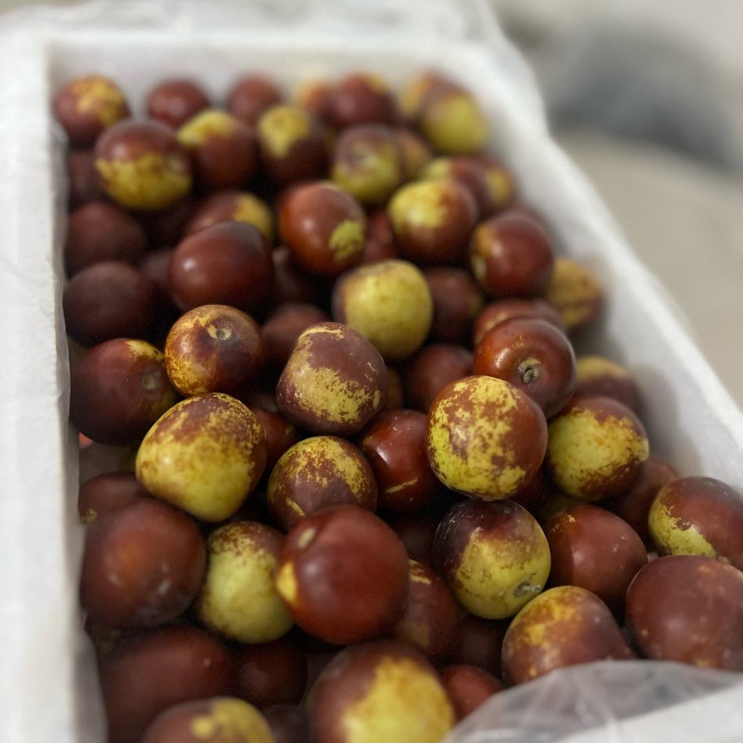 家是新郑的新疆果农