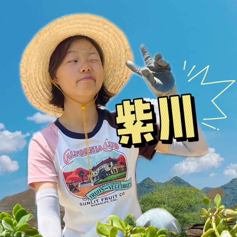 紫阳紫川（改造中）