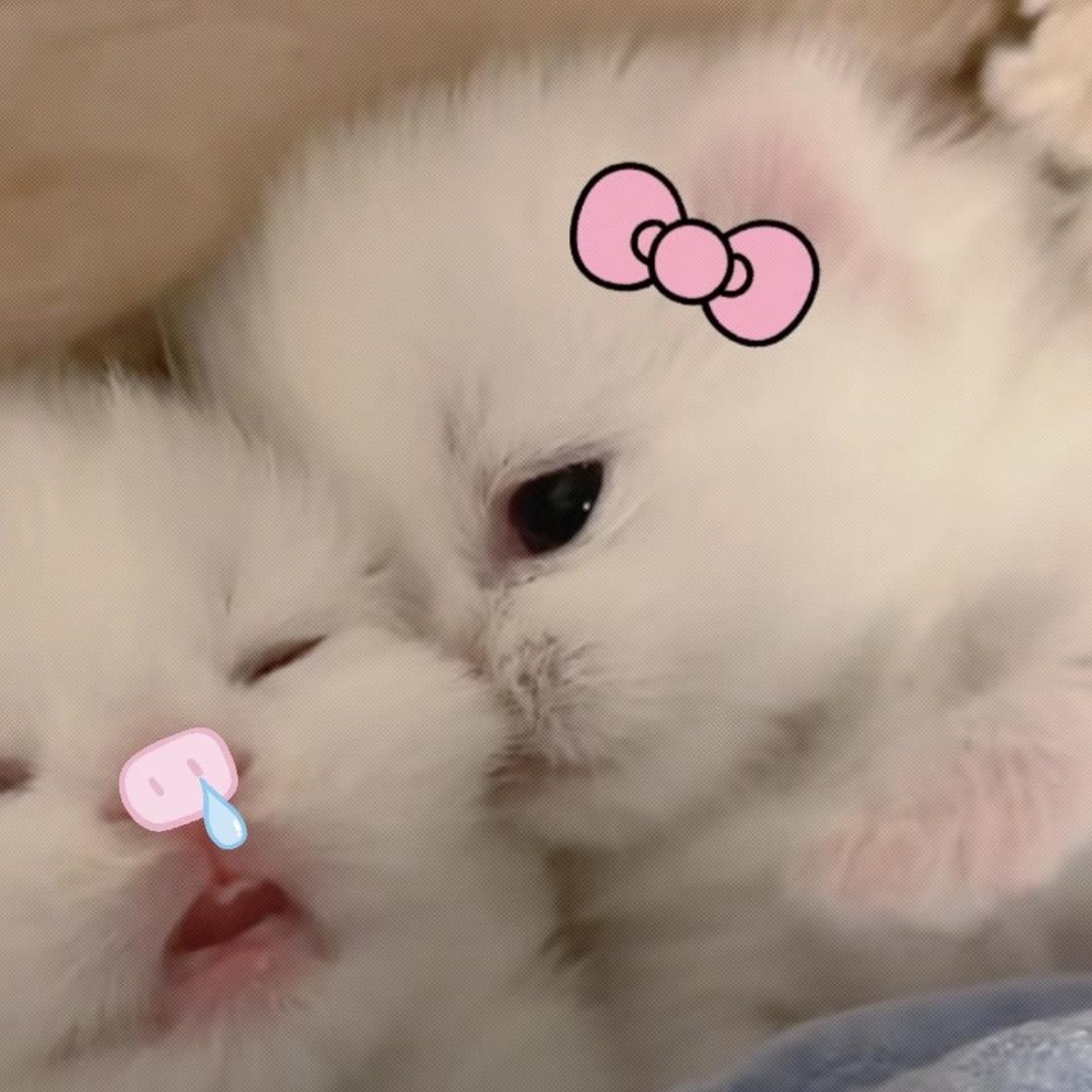 小h