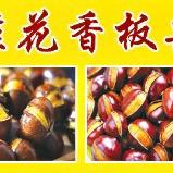 臻好吃炒货雪糕批发