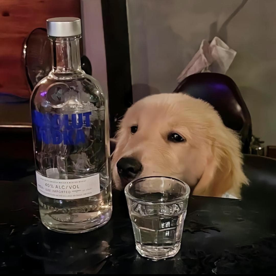 鲨鱼辣椒🍃（三角洲行动）