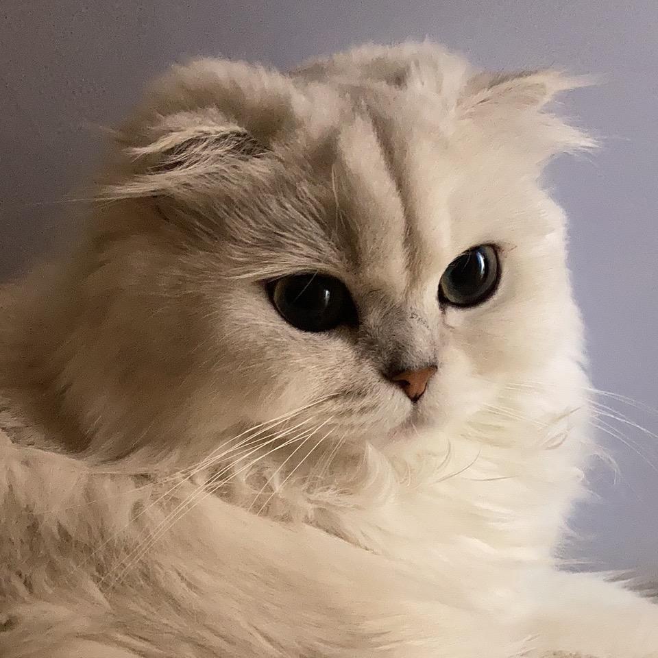 臭崽姐姐头像