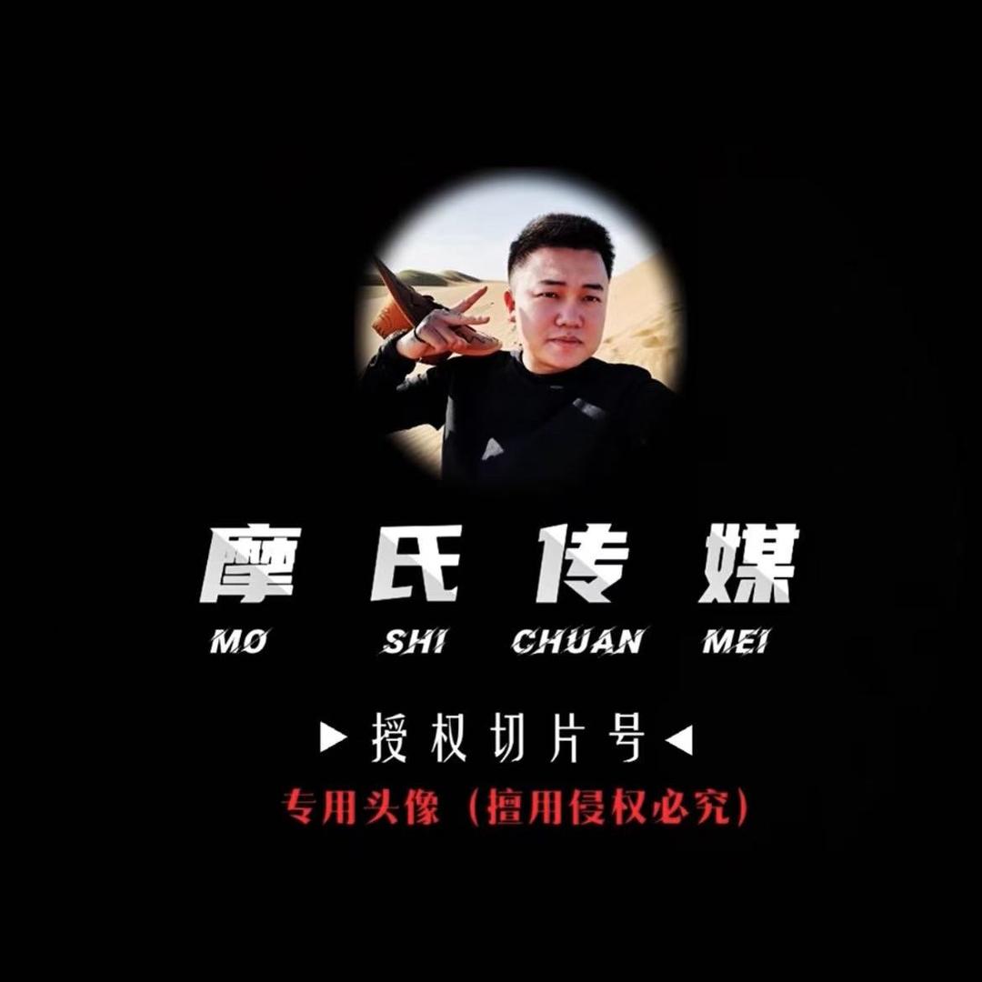 达摩切片-西泽类达摩