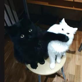可儿……