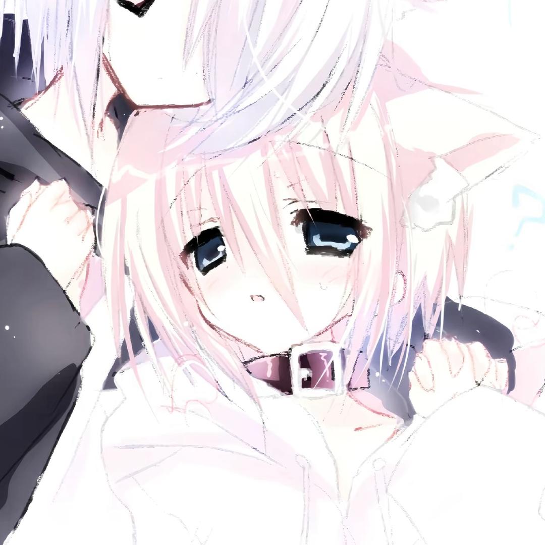 白猫