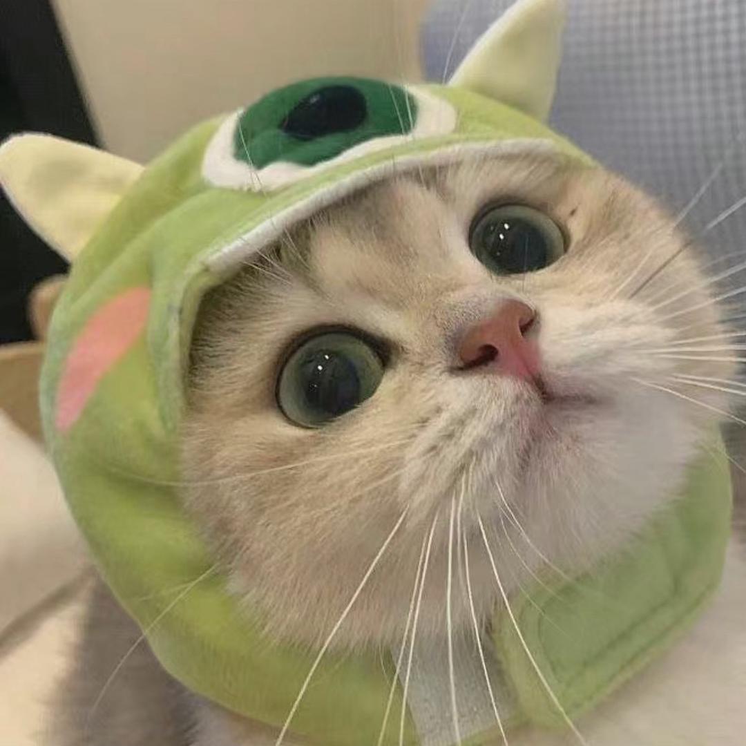 派大星冰乐