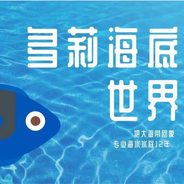 多莉的海底世界（高端玩家定制）