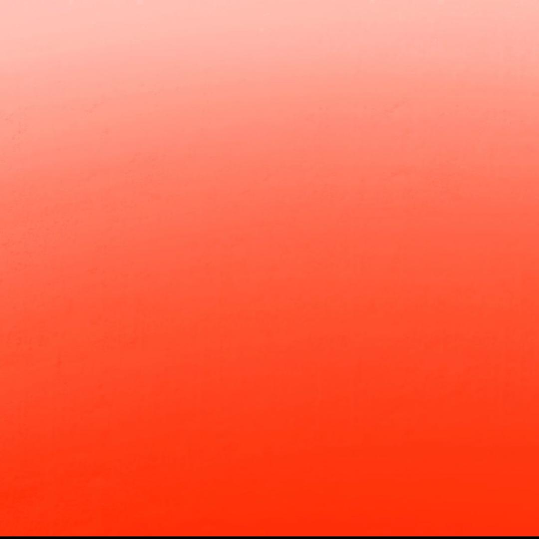 五斤蚝