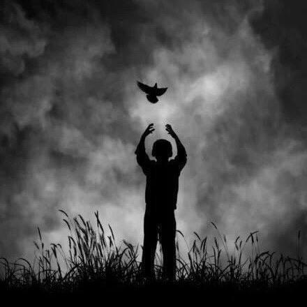 浊酒尽余欢⛰️