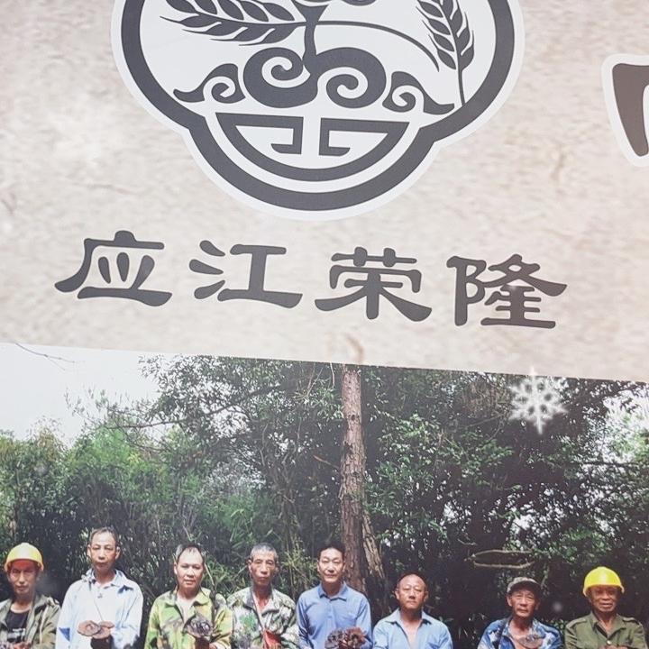 应江隆荣林下紫灵芝