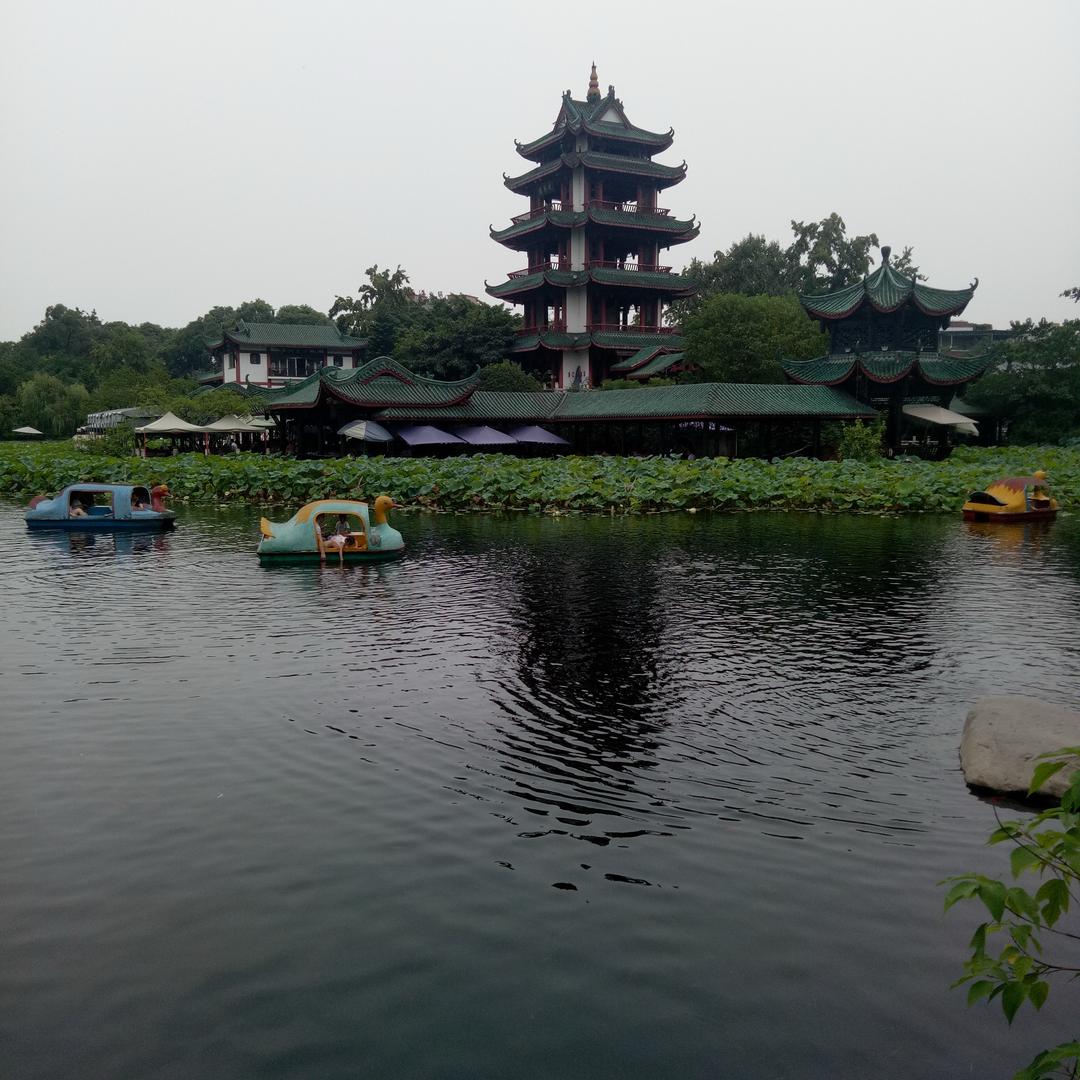 云淡风轻🌿🌈