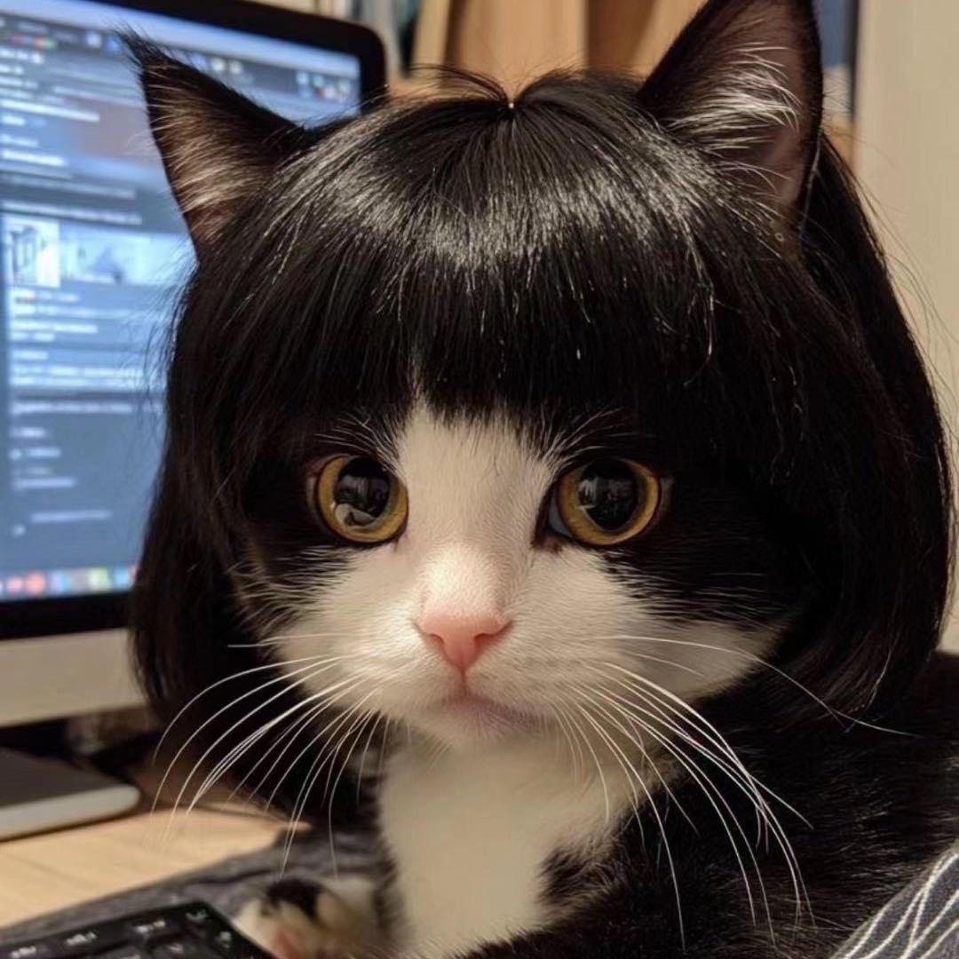 霸道总裁爱上喝蜜雪冰城的我