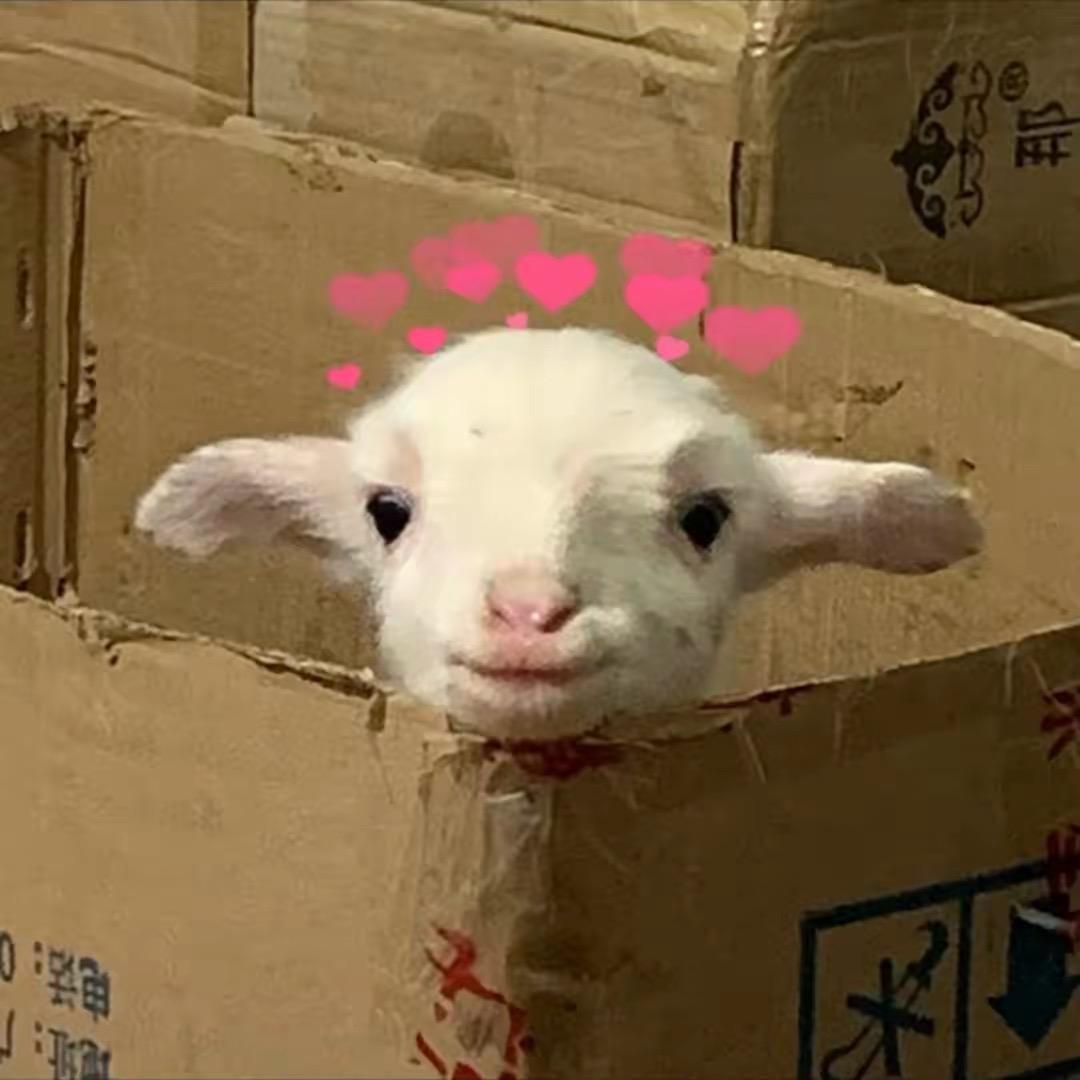 0脂锅包肉