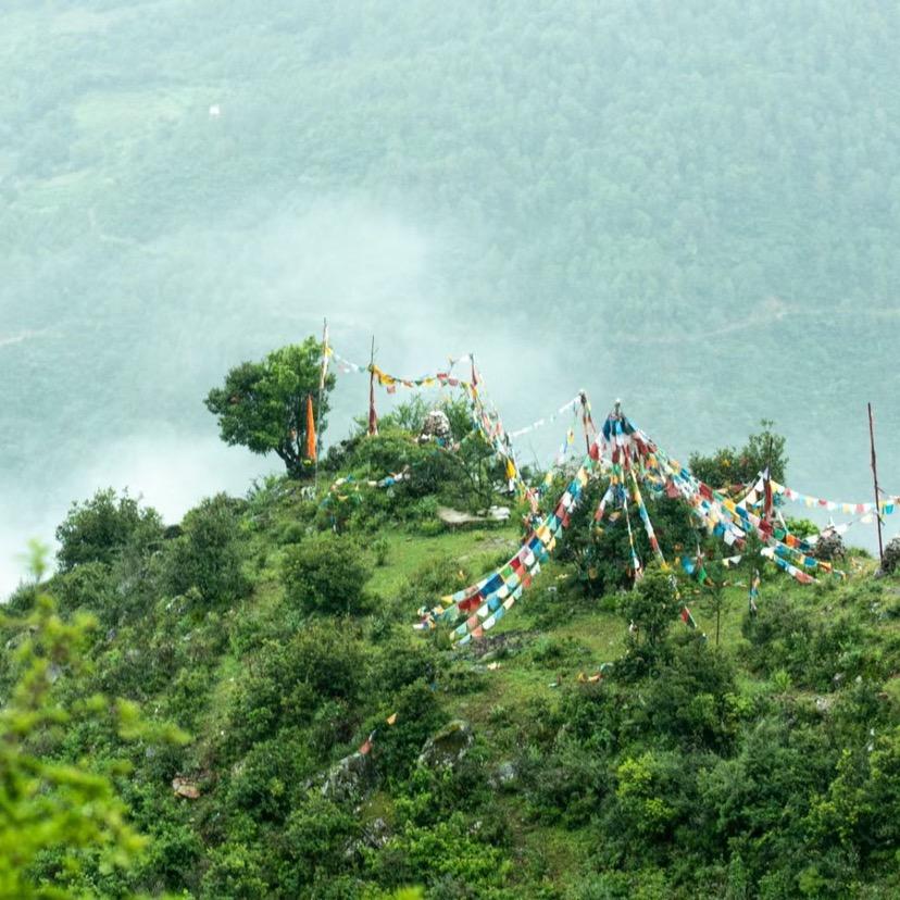 越南🇻🇳VISA@地接-陳