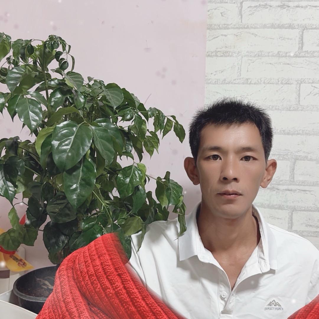 陈利