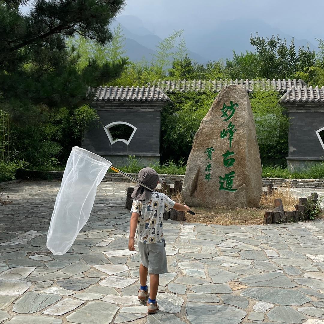 小赵老法师