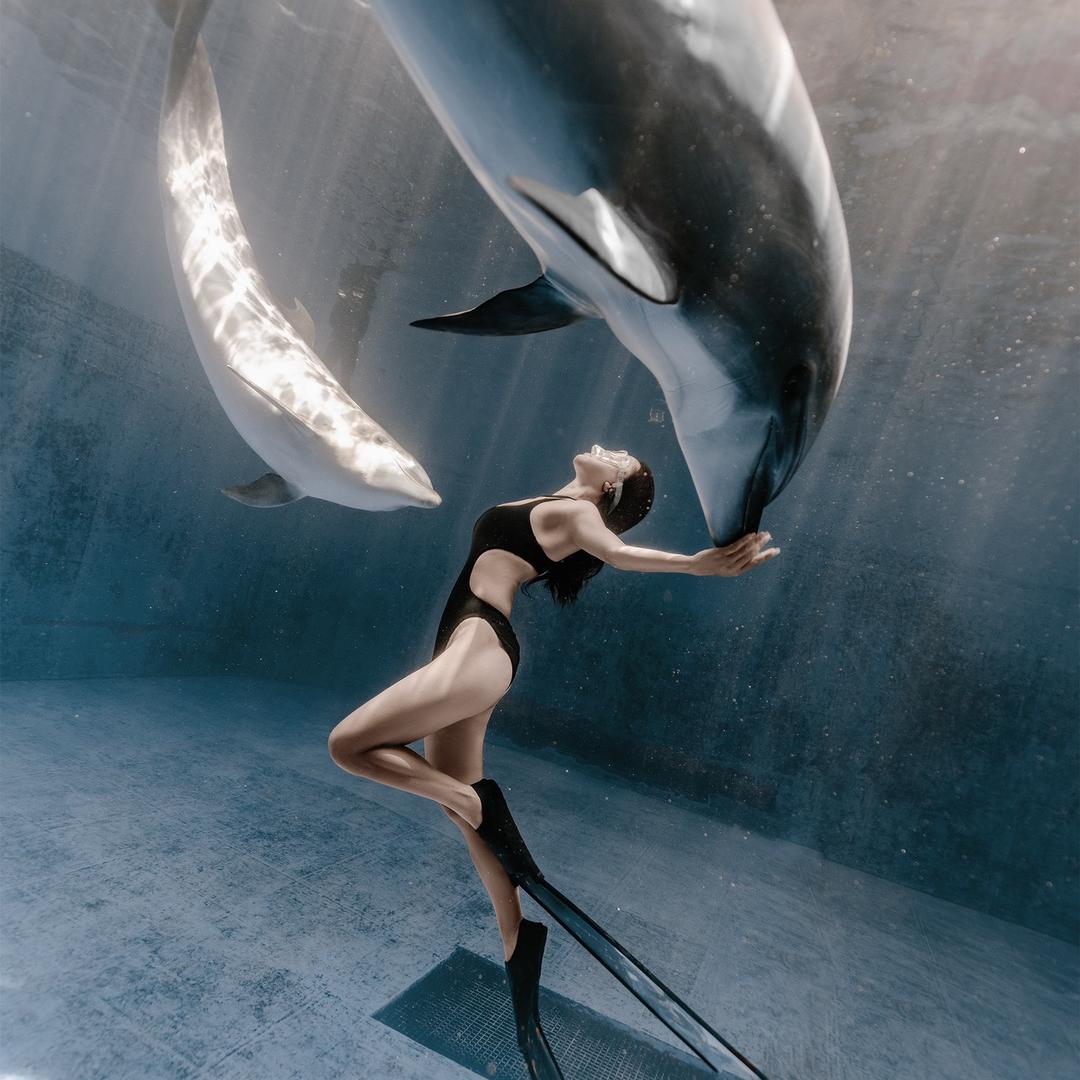 一条有肌肉的鱼🧜‍♀️