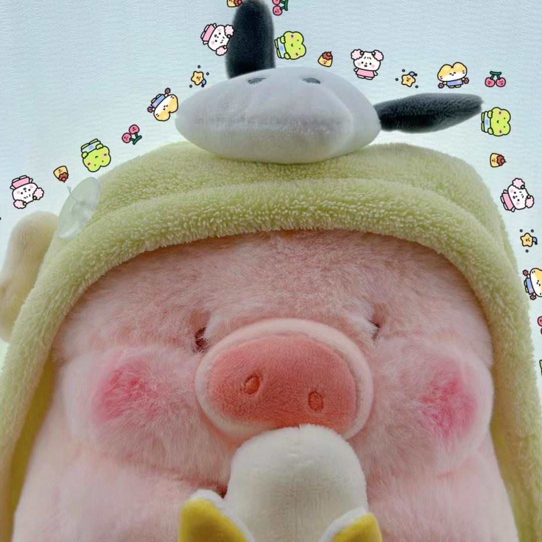 小猪🐷！