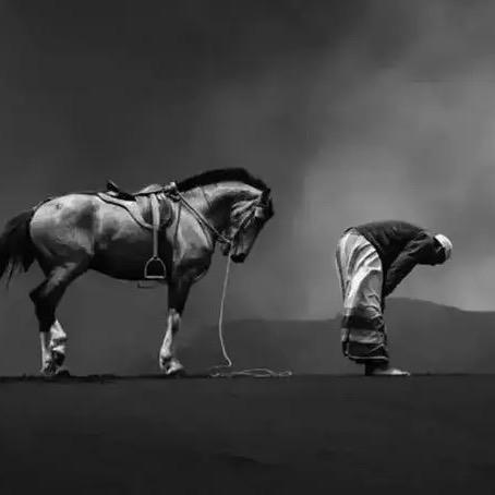 梦里（深呼吸运动营）