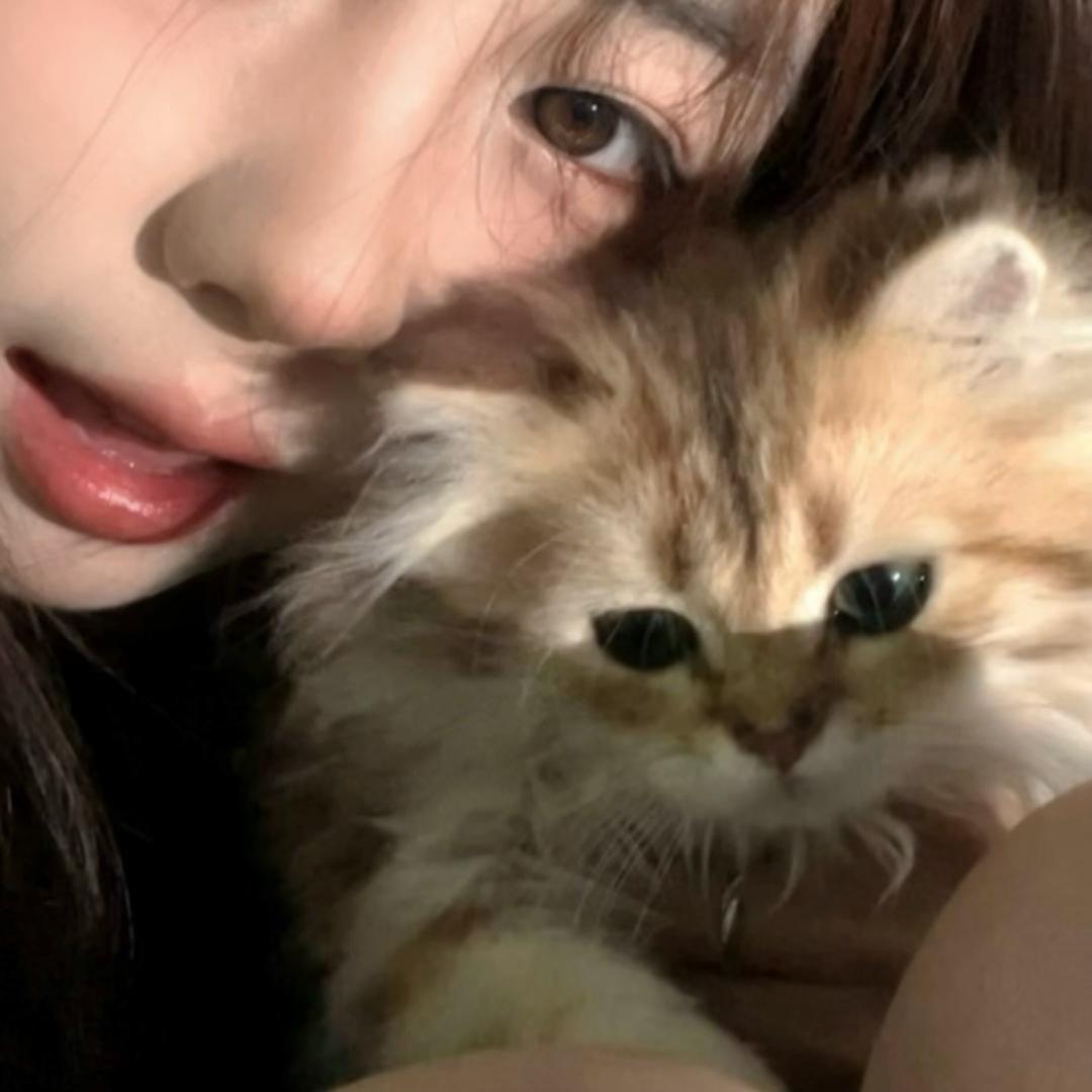 ㅤ￴￴￴ㅤㅤ￴￴￴7