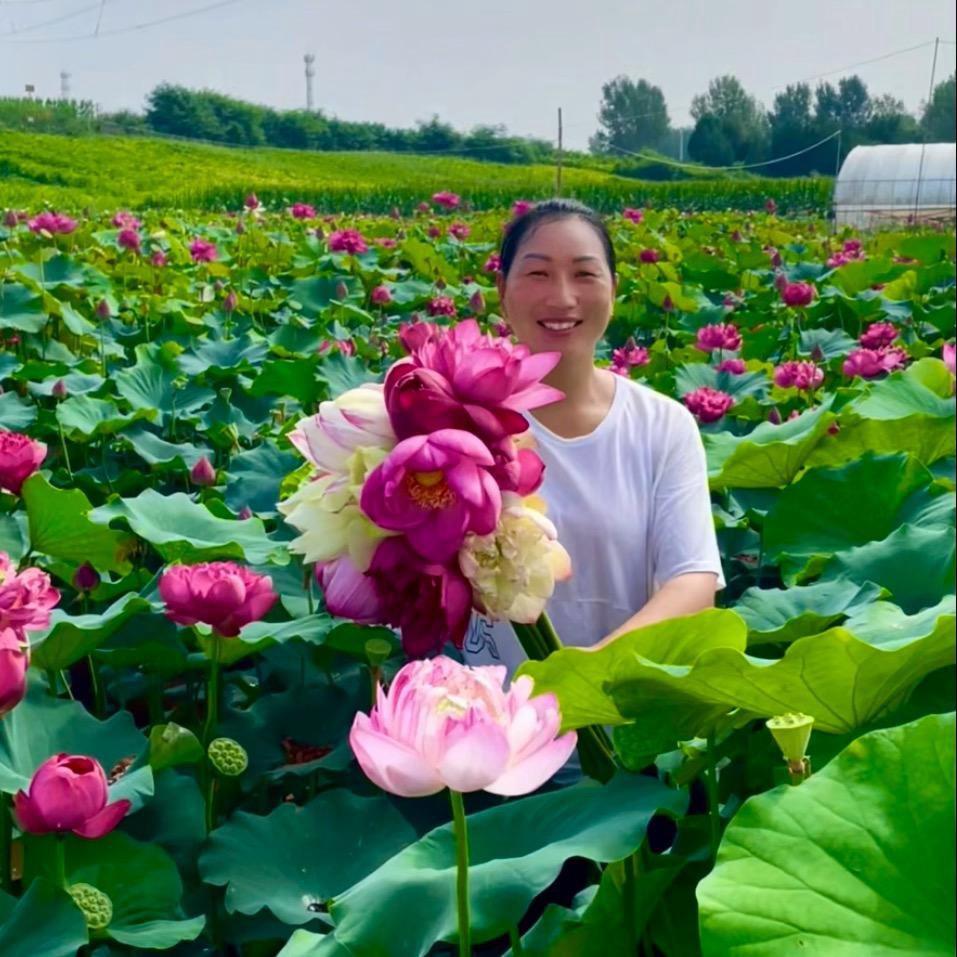 荷园小婷
