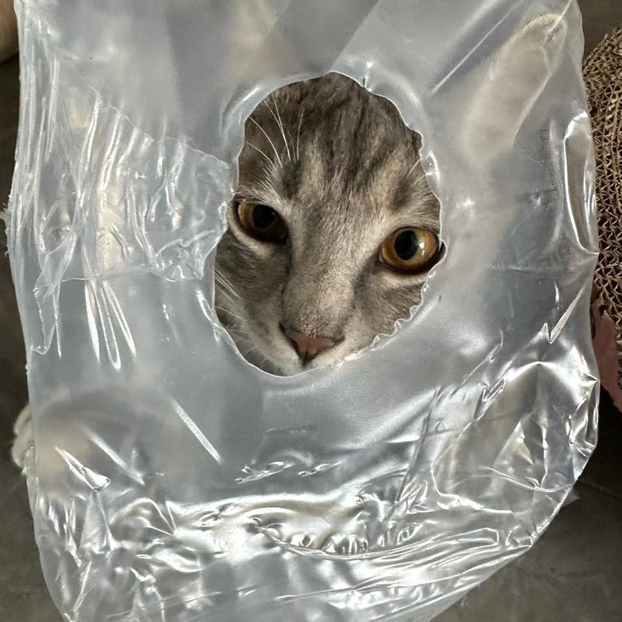 曾土商火
