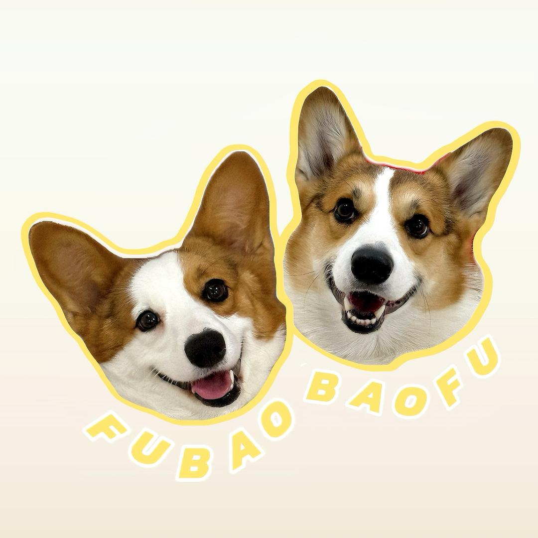 柯基暴师傅一家