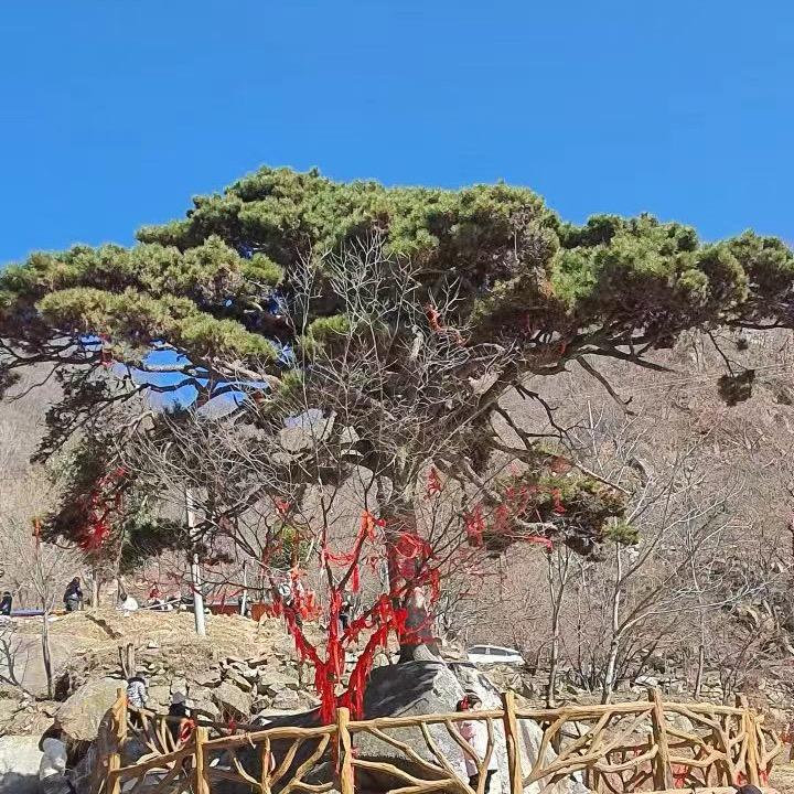 温州男女鞋批发零售