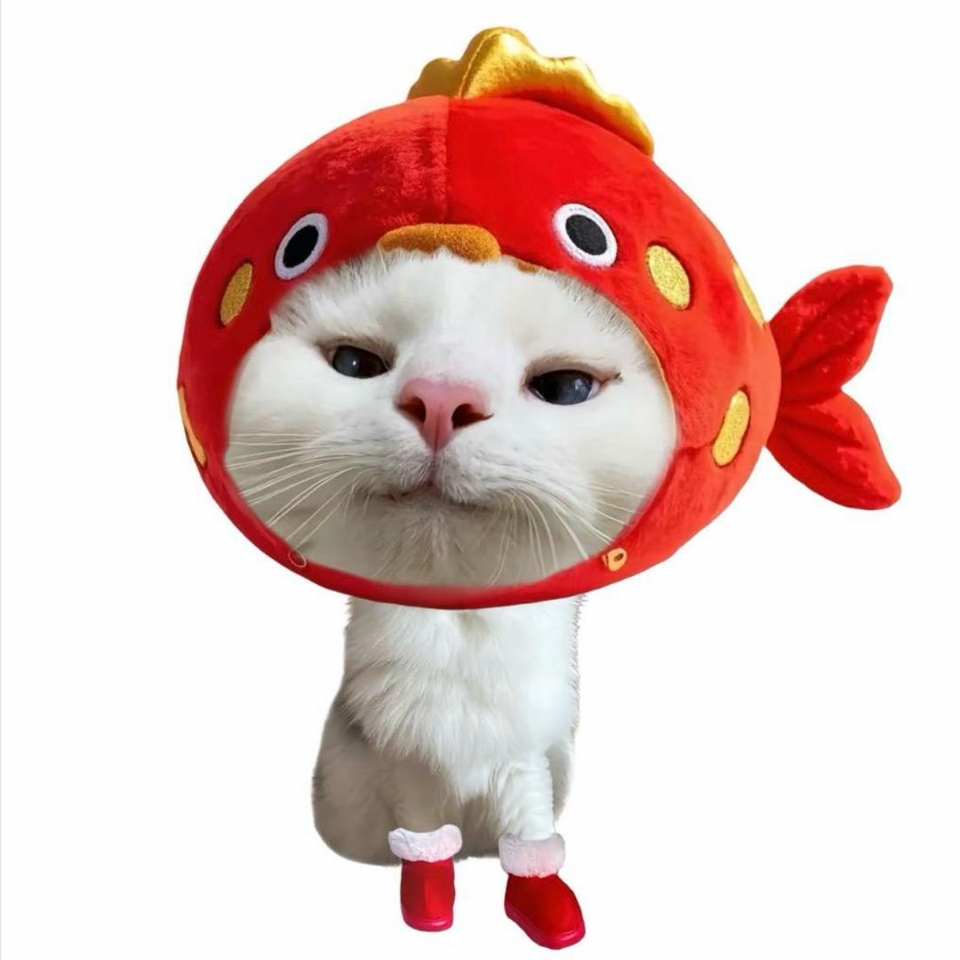 赵美‘