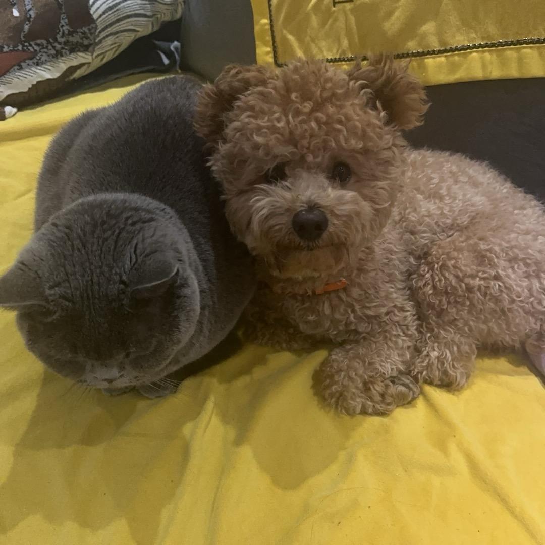 熙宝👱🏻‍♀️